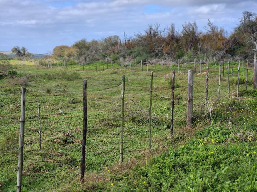 Commercial Property for Sale in Mossel Bay Rural Western Cape